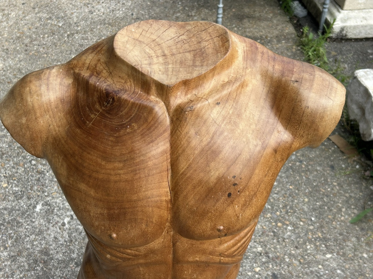 Grand torse buste en bois sculpté dans le goût de l’antique - taille direct vers 1960-70-photo-3