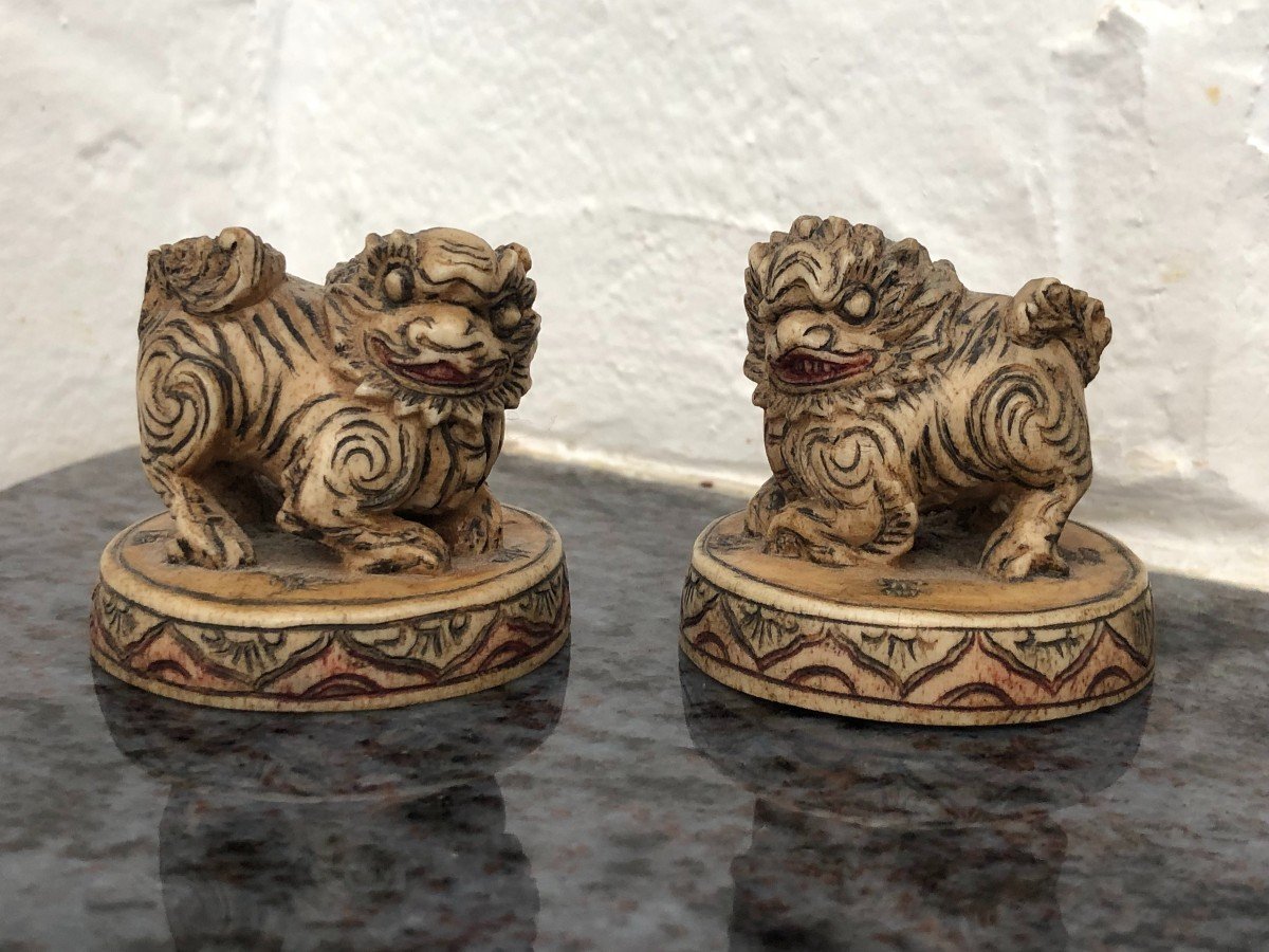 Pair Of Chinese Ivory Carvings "fo Dogs" - Okimono-photo-6