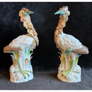 Pair Of Porcelain Birds - Meissen - Saxony - XIXth Time