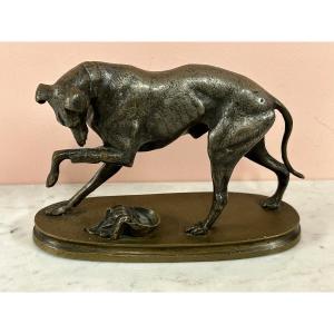 Petite Bronze à Deux Patine  Fin XIXéme «  La Levrette Blessée « chien en bronze