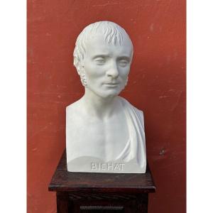 Xavier Bichat ( 1771-1802 ) Médecin - Buste De Bibliothèque En Plâtre XIXéme N°2