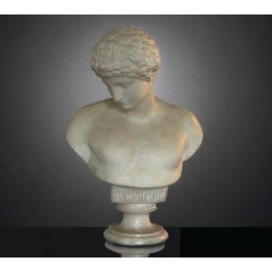 Bust Of The Antinous From The Capitol In Alabaster Early 20th Century - Ancient Roman Art