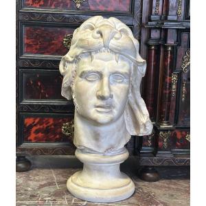 Mithridates VI Eupator Dionysus (132-63 Bc) Plaster Bust, H 49 Cm, 20th Century