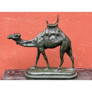 Louis Alfred BARYE, dit BARYE le fils (1839-1895) dromadaire harnaché en bronze  XIXéme Chameau