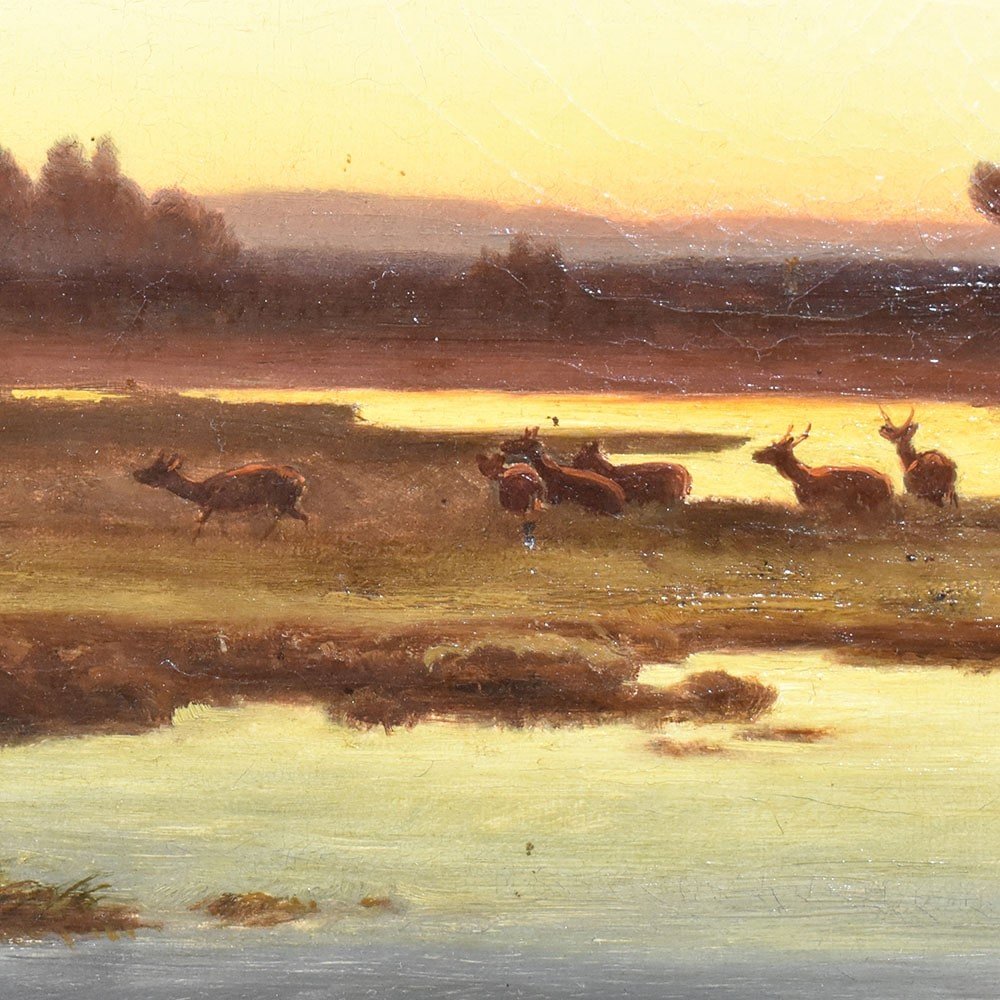 Antique Painting, Landscape At Sunset With Deer, Nature Painting, XIX Century. (qp545)-photo-4