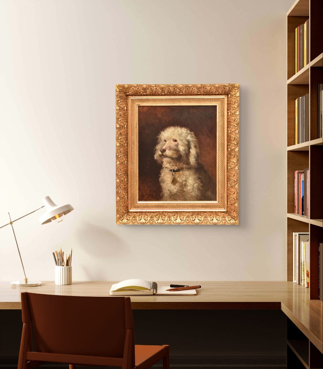 Dogs Portrait Painting, Poodle, Oil On Canvas, Antique Painting, XIX Century. (qa656) -photo-2