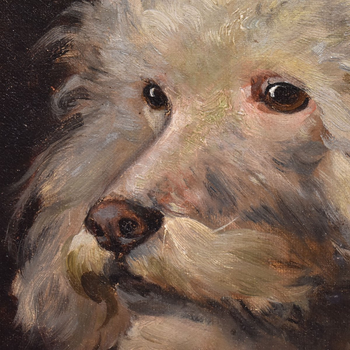 Dogs Portrait Painting, Poodle, Oil On Canvas, Antique Painting, XIX Century. (qa656) -photo-3