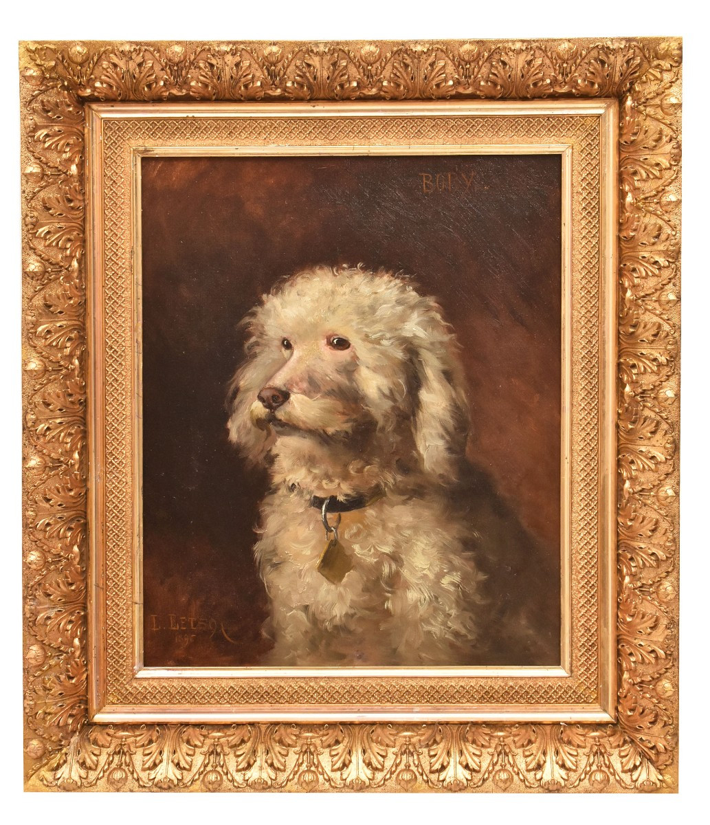 Dogs Portrait Painting, Poodle, Oil On Canvas, Antique Painting, XIX Century. (qa656) 
