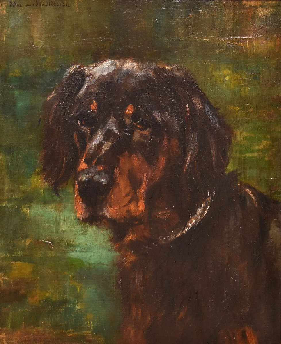 Antique Painting, Black Dogs Portrait Painting, Setter Gordon, Oil On Canvas, XIX. (qa660)-photo-2