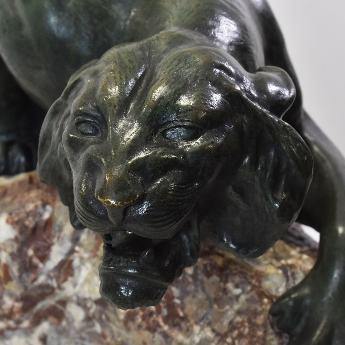 Sculptures Anciennes En Bronze, Grande Lionne, Giacomo Merculiano, Art Deco, XX Siècle (STB103)-photo-4