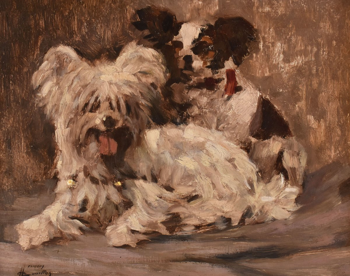 Antique Painting, Dogs Portrait Painting, Maltese And Spaniel, Oil On Canvas (qa714)-photo-3