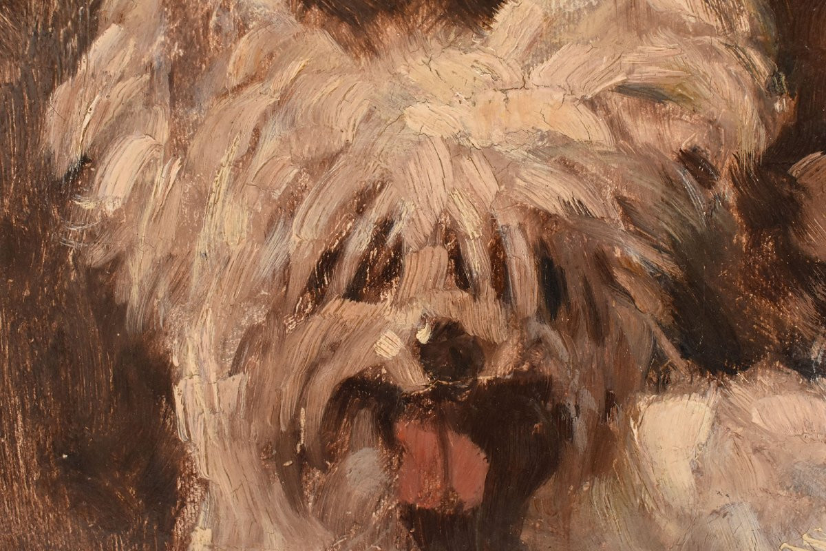 Antique Painting, Dogs Portrait Painting, Maltese And Spaniel, Oil On Canvas (qa714)-photo-3