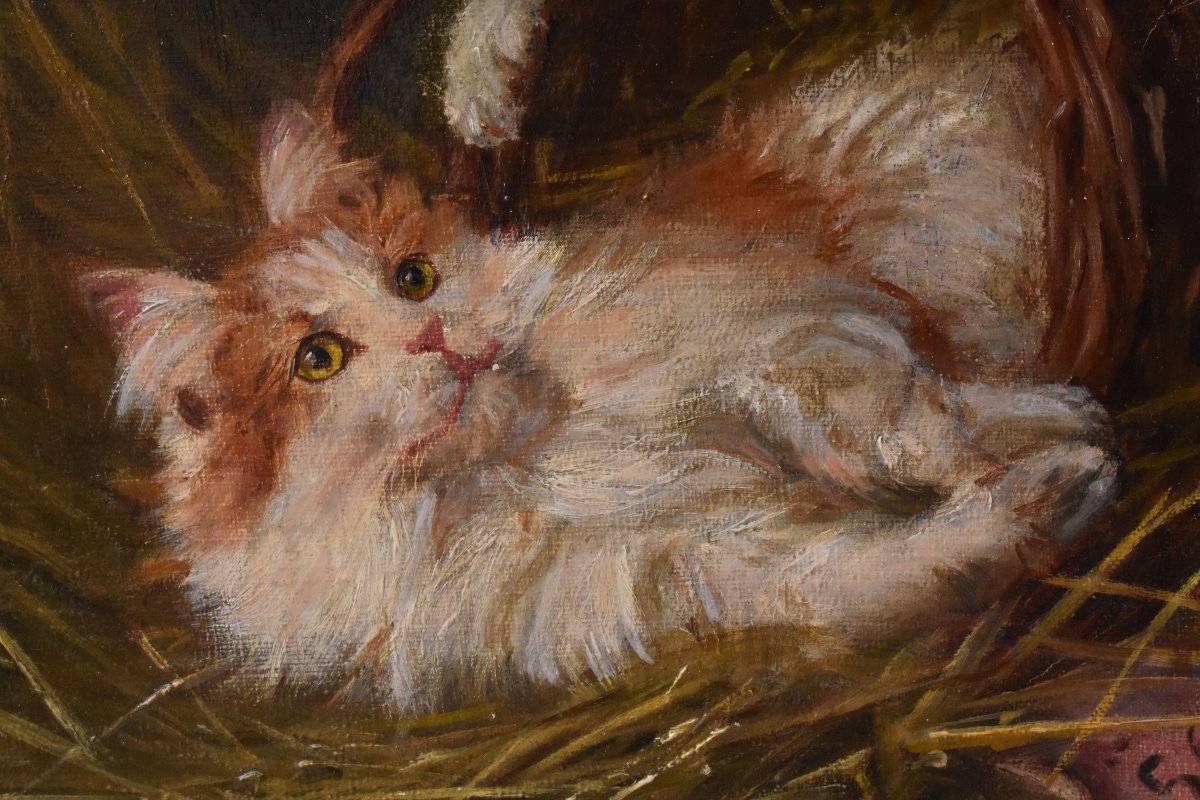 Tableau Ancien, Jane d’Hazon, Portraits De Chats, Petits Chatons, XIXè Siècle. (QA750)-photo-4