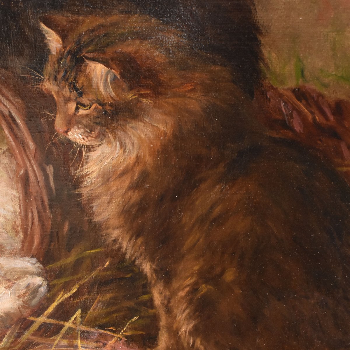 Tableau Ancien, Jane d’Hazon, Portraits De Chats, Petits Chatons, XIXè Siècle. (QA750)-photo-3
