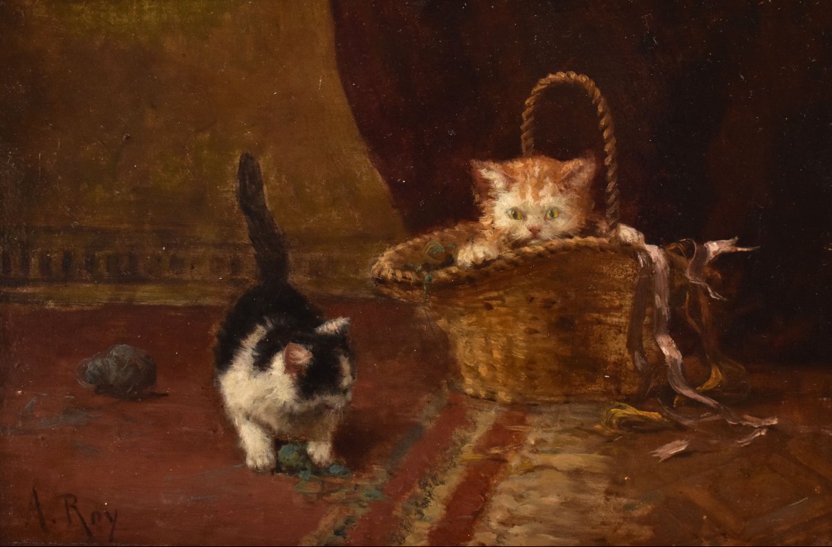 Tableau Ancien, Aimée Roy, Portraits De Chats, Petits Chatons, XIXè Siècle. (QA751)-photo-3