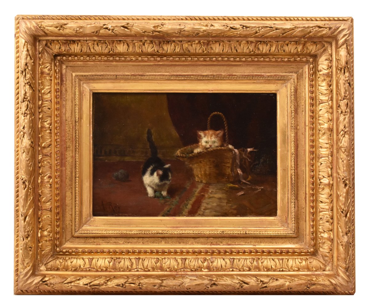 Tableau Ancien, Aimée Roy, Portraits De Chats, Petits Chatons, XIXè Siècle. (QA751)