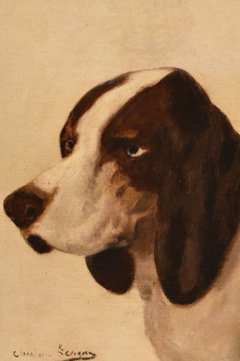 Tableau Ancien, Théodore Lévigne, Portraits De chiens De Chasse, Huile Sur Toile, XIX (QA756)-photo-3