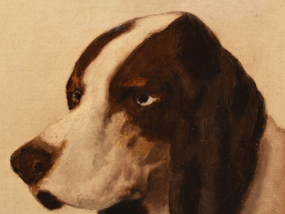 Tableau Ancien, Théodore Lévigne, Portraits De chiens De Chasse, Huile Sur Toile, XIX (QA756)-photo-4