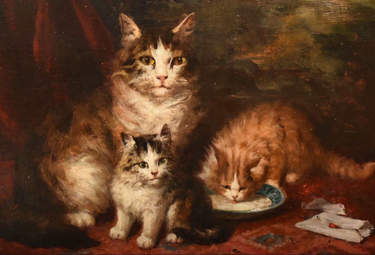 Antique Cats Portrait Painting, Jules Gustave Le Roy, Portraits Of Cats, Oil On Wood (qa770)-photo-3