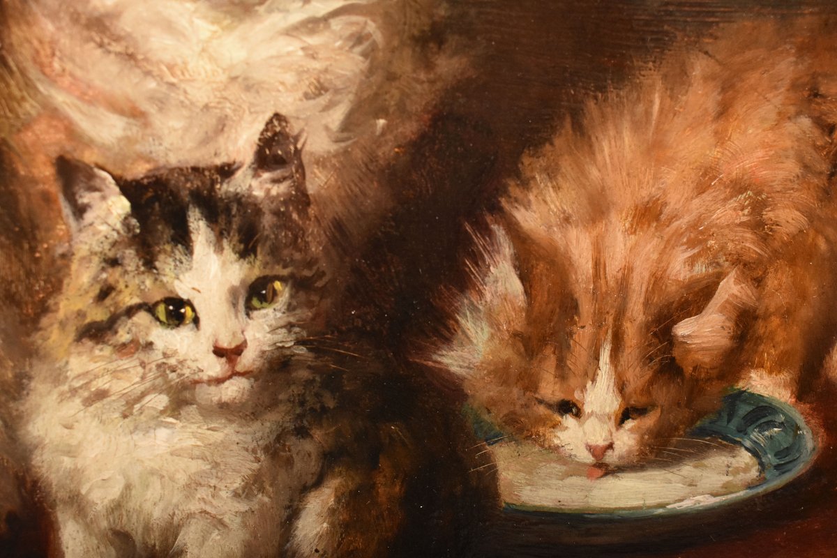 Antique Cats Portrait Painting, Jules Gustave Le Roy, Portraits Of Cats, Oil On Wood (qa770)-photo-1
