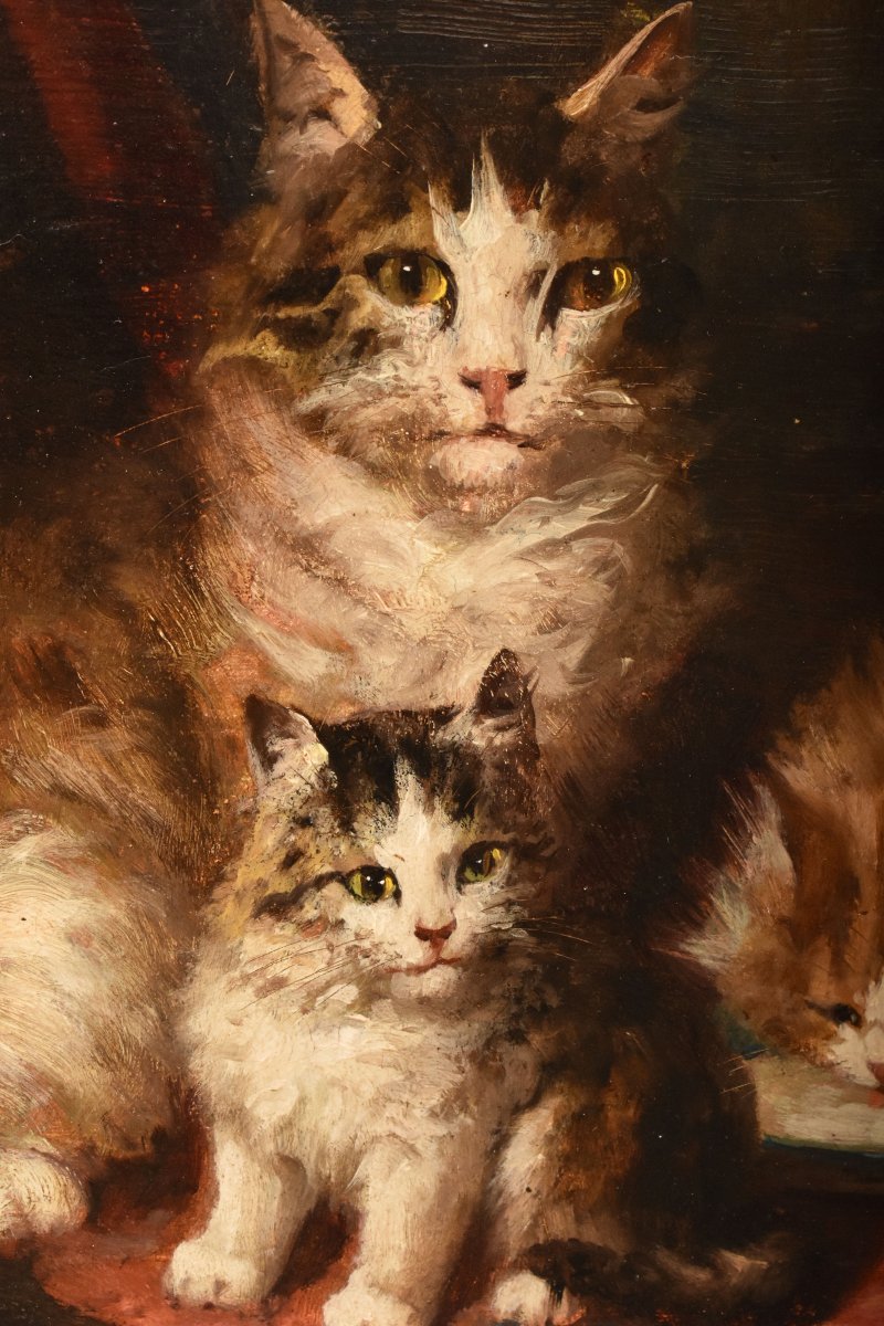 Antique Cats Portrait Painting, Jules Gustave Le Roy, Portraits Of Cats, Oil On Wood (qa770)-photo-2