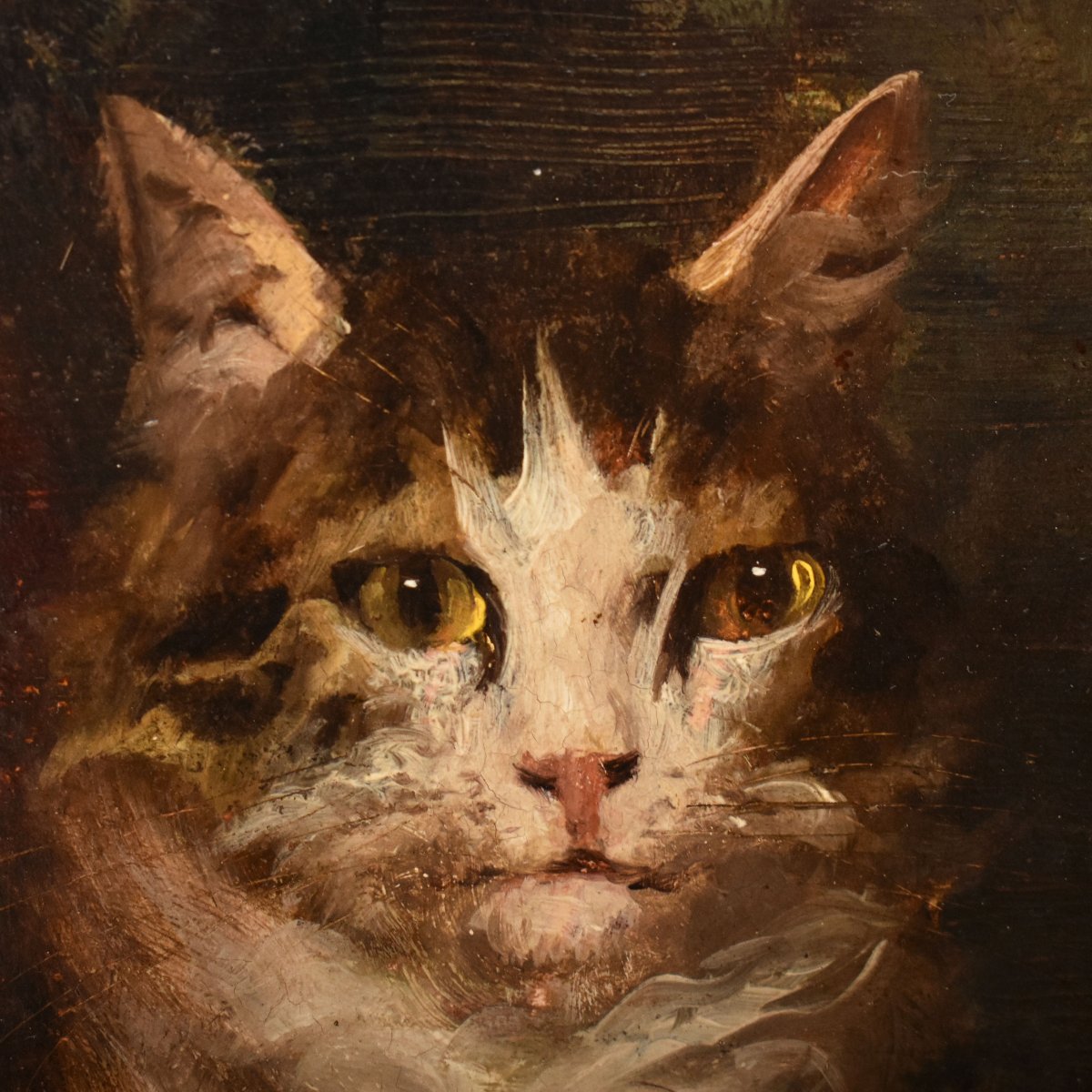 Antique Cats Portrait Painting, Jules Gustave Le Roy, Portraits Of Cats, Oil On Wood (qa770)-photo-3
