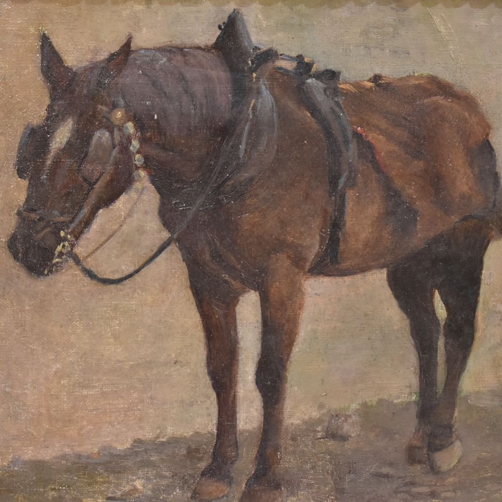 Peinture cheval , huile sur toile,  XIXè siècle . (QA 224)-photo-2