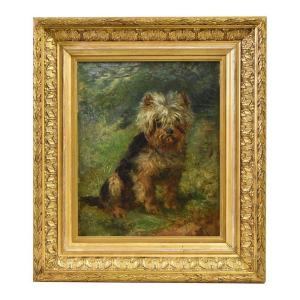 Dogs Portrait Painting, Small Dog, Yorkshire Terrier, Oil Painting On Canvas, 19th .  (qa479)