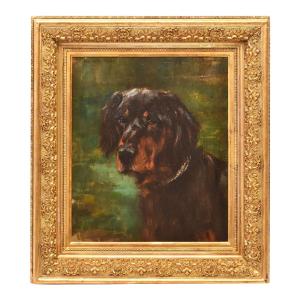  Portraits De Chiens Noir, Edmond Van Der Meulen, Setter Gordon,  XIX.  (QA660)