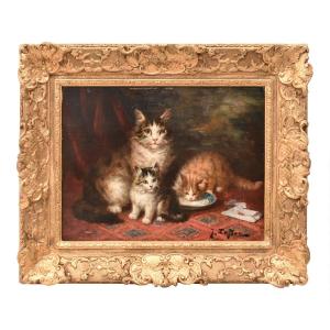Antique Cats Portrait Painting, Jules Gustave Le Roy, Portraits Of Cats, Oil On Wood (qa770)
