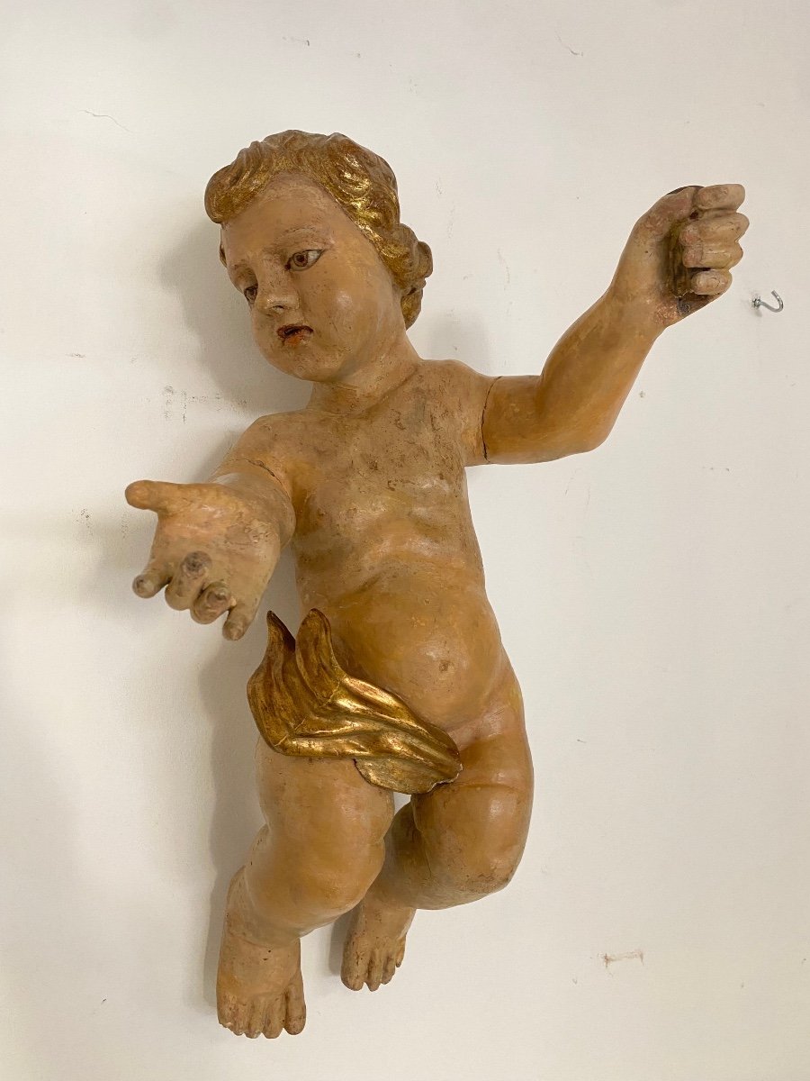 Wooden Cherub Cherub Carved Lacquered And Gilded. 17th Century Lombardy