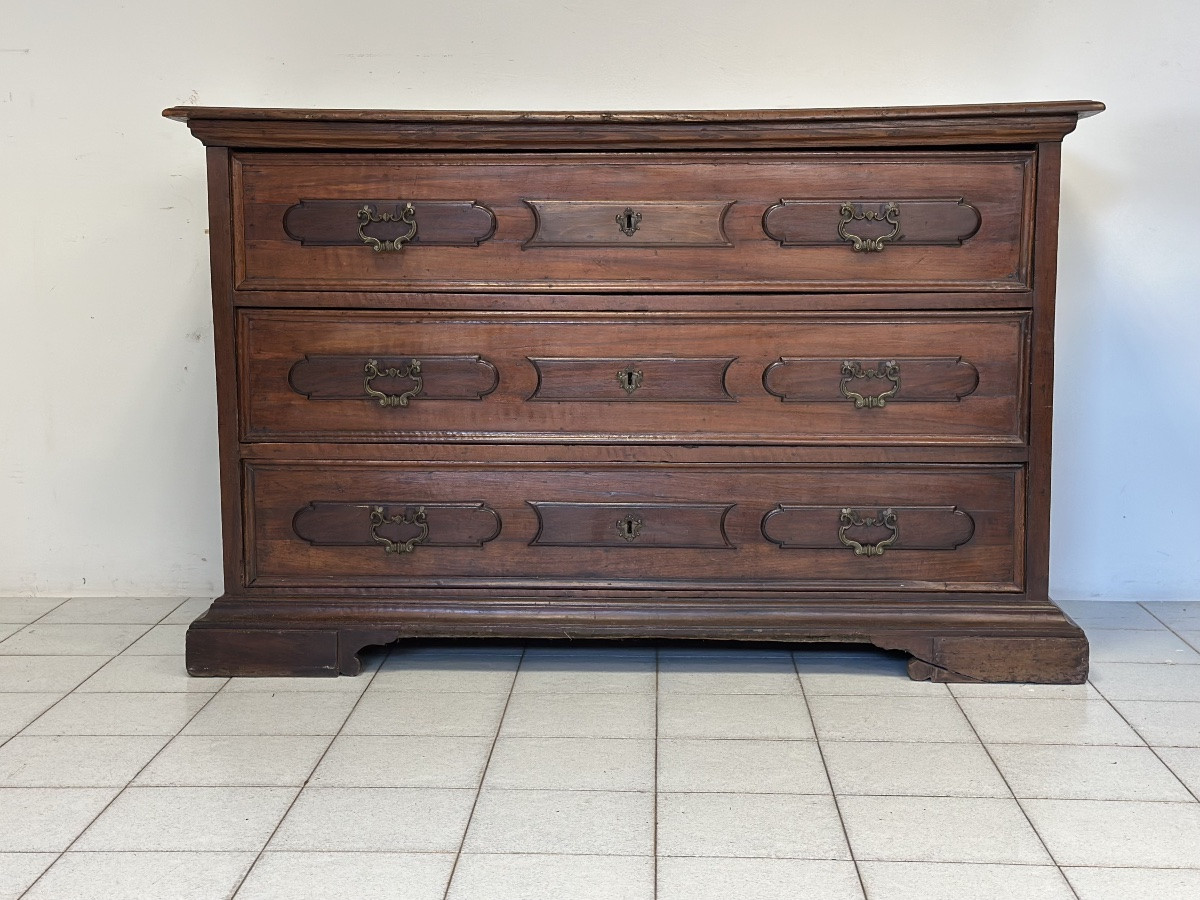 Walnut Chest Of Drawers. Bologna City. 17th Century-photo-1