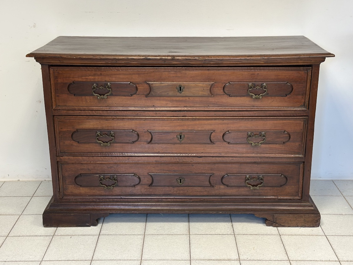 Walnut Chest Of Drawers. Bologna City. 17th Century-photo-2