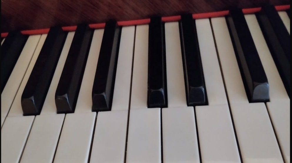 1921 Erard Piano-photo-4