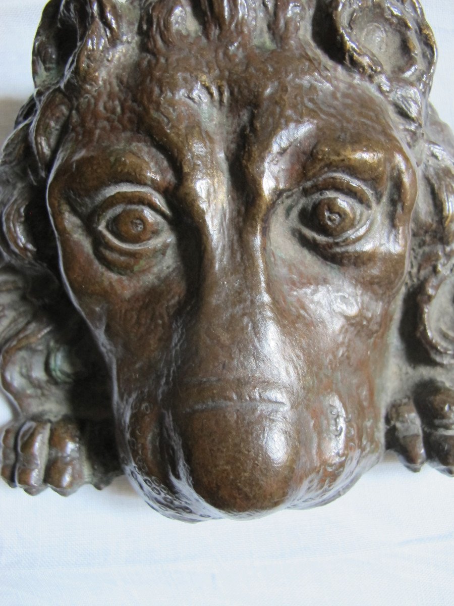 Bronze Lion Muzzle-photo-2