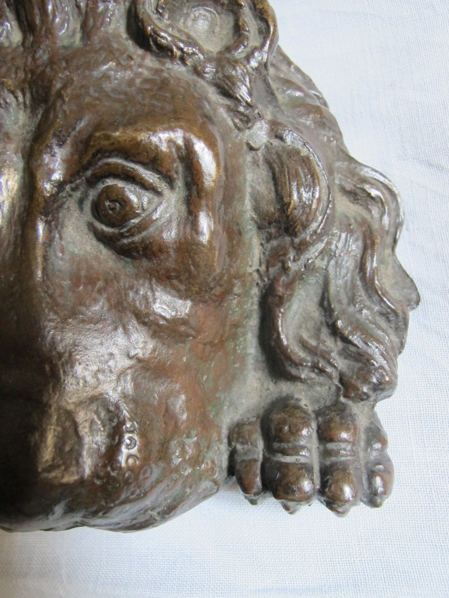 Bronze Lion Muzzle-photo-3