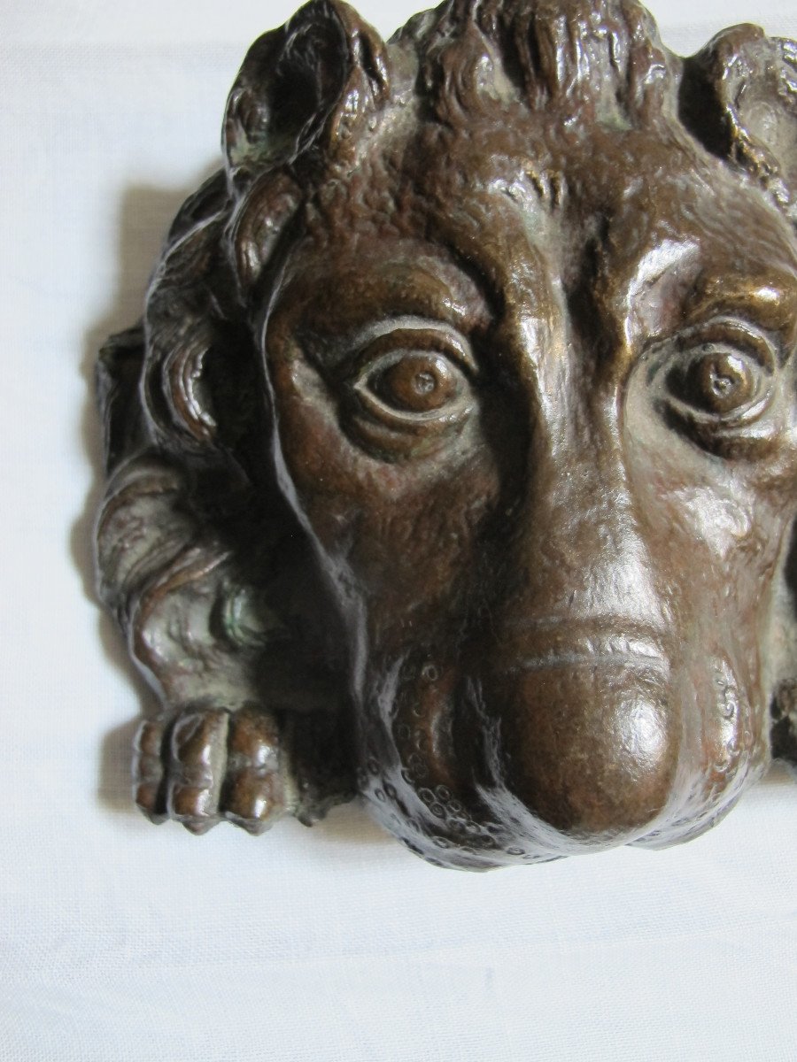 Bronze Lion Muzzle-photo-4