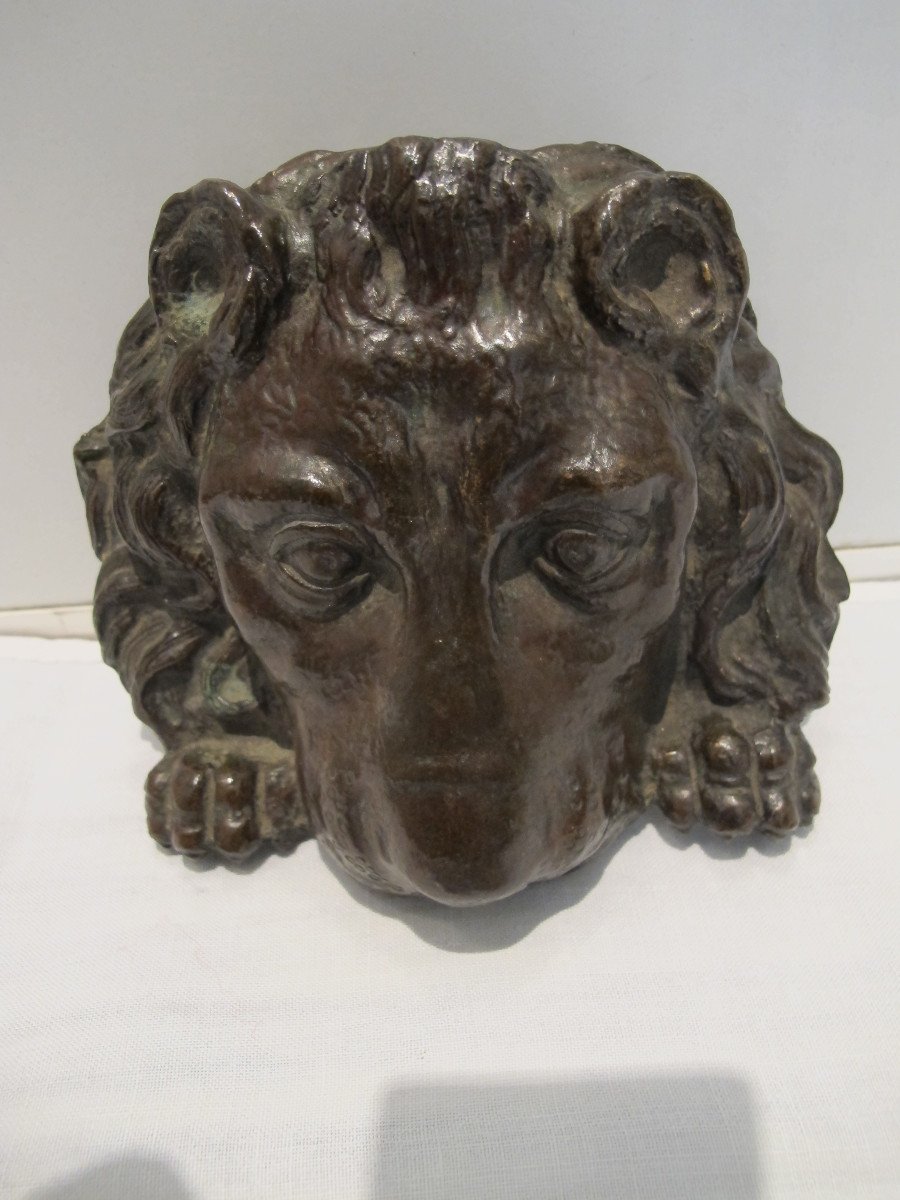 Bronze Lion Muzzle-photo-2
