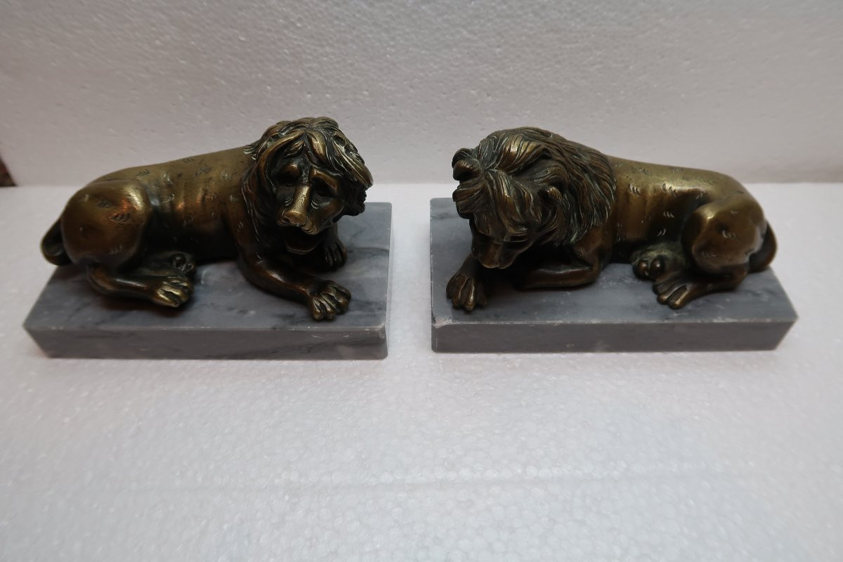 Paire De Lions En Bronze  XIX-photo-6