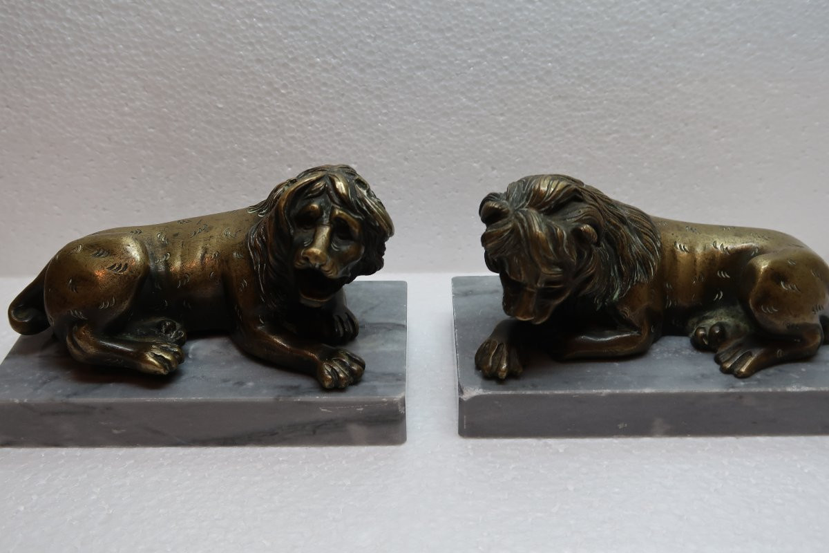 Paire De Lions En Bronze  XIX-photo-7