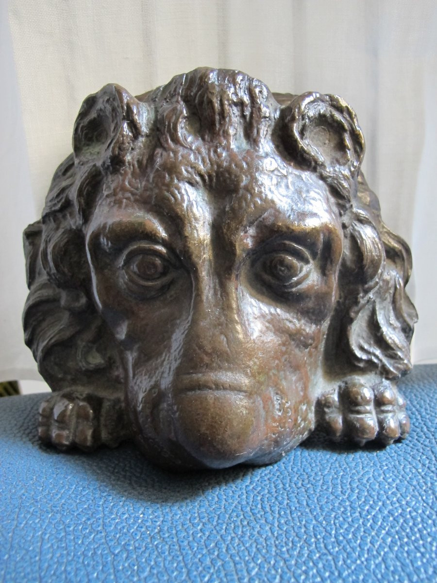 Mufle de lion  XIX -photo-1