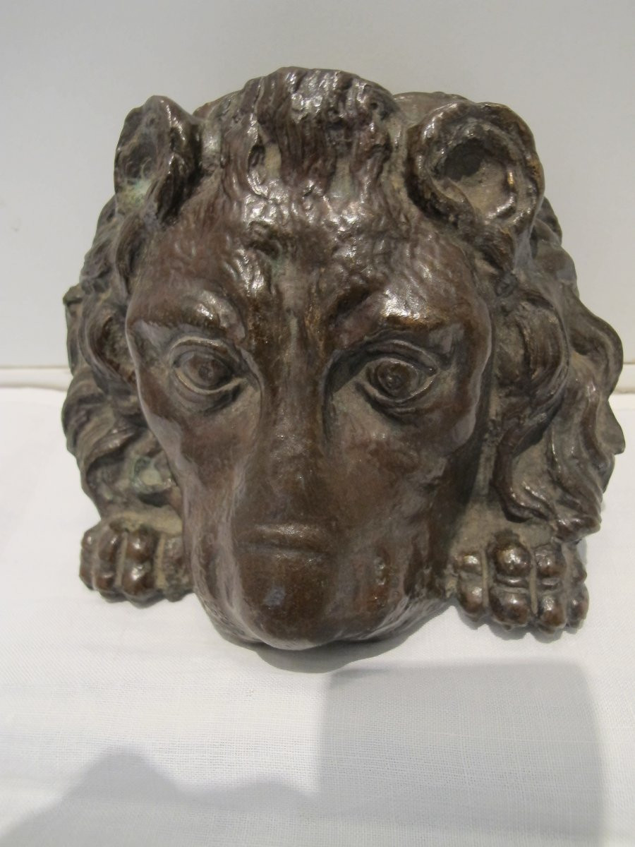Mufle de lion  XIX -photo-4
