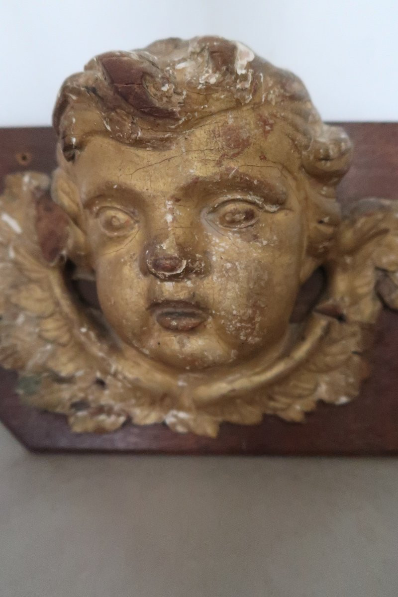 Tête d' Angelot en bois doré   XVIII -photo-4