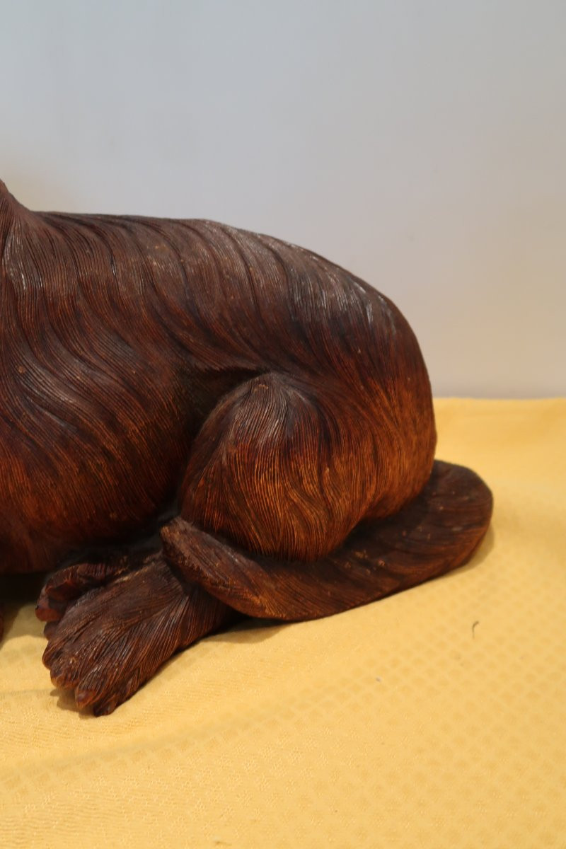 Dog From The 1960s-1970s-photo-4