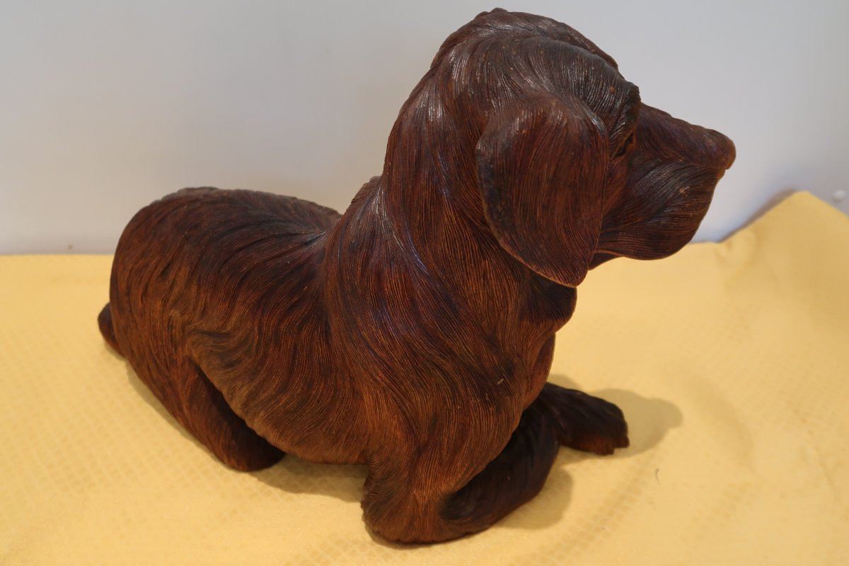 Dog From The 1960s-1970s-photo-1