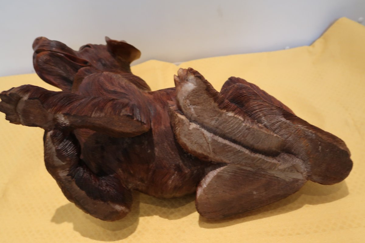 Dog From The 1960s-1970s-photo-3