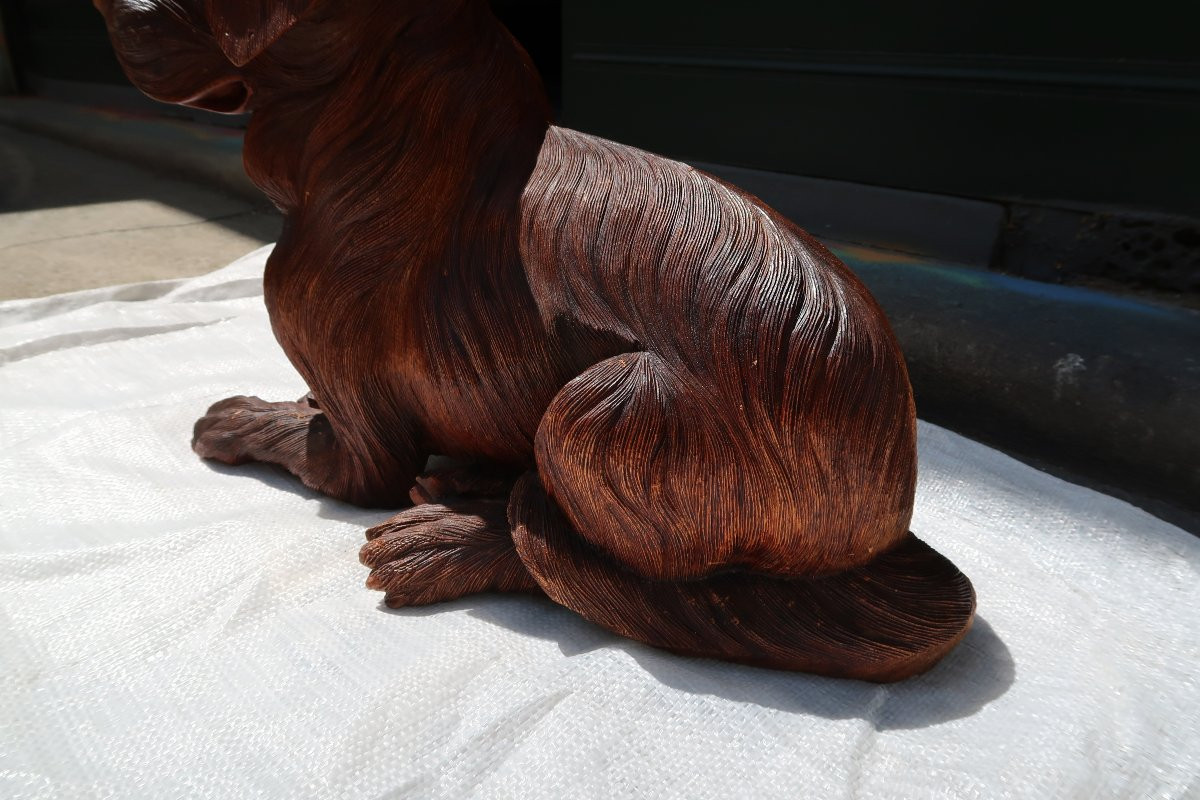 Dog From The 1960s-1970s-photo-6