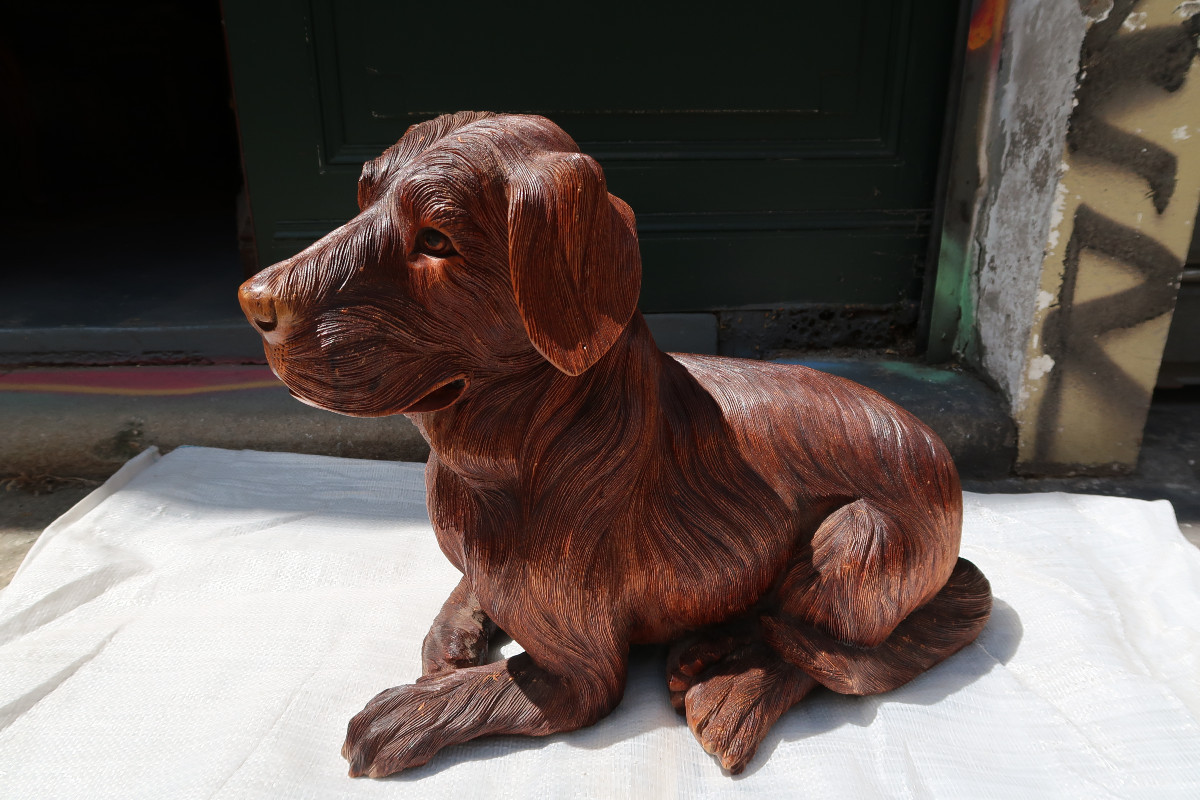 Dog From The 1960s-1970s-photo-8