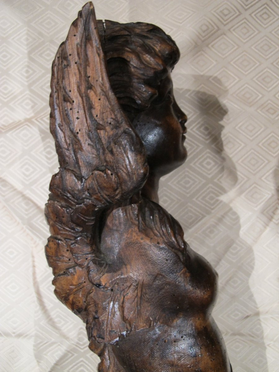 Walnut Caryatid 18th Century-photo-3