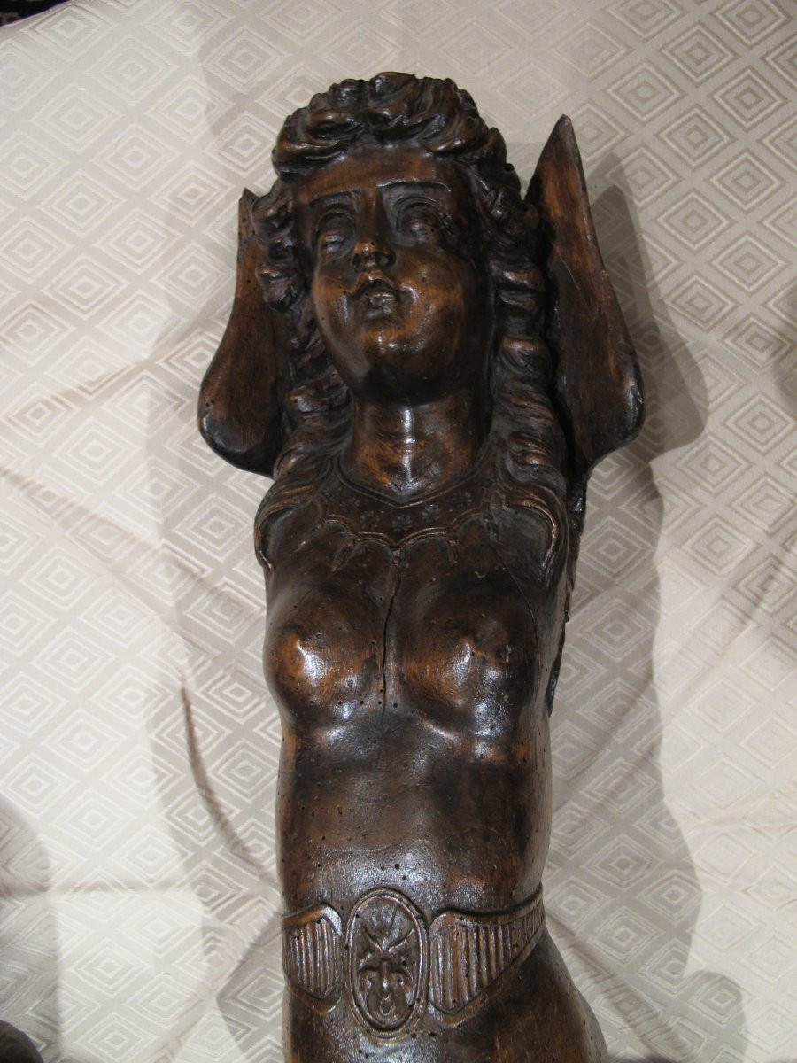 Walnut Caryatid 18th Century-photo-6